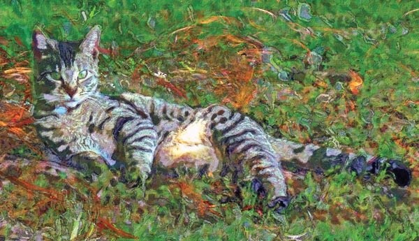 Photography titled "Jill" by David Glotfelty, Original Artwork, Digital Photography