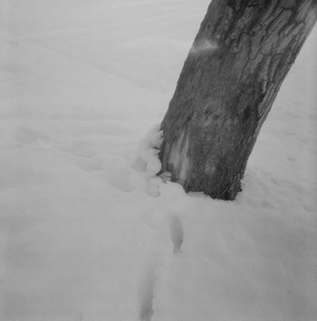 Fotografie getiteld "Untitled (in memory)" door Gianluca Faletti, Origineel Kunstwerk