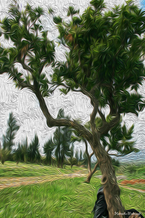 Photography titled "l ´oranger" by Harireche "Harimoart" Hari Mo Art, Original Artwork, Digital Photography