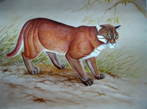 Schilderij getiteld "Golden Cat" door Ong Sookeat, Origineel Kunstwerk