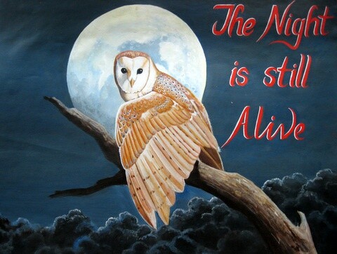 Schilderij getiteld "Barn Owl - The Nigh…" door Ong Sookeat, Origineel Kunstwerk