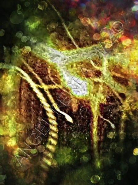 Photography titled "Colección fantasía…" by Ángel Perea Díaz, Original Artwork