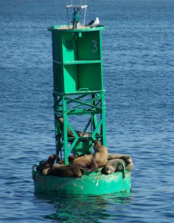Photography titled "Lazy Days" by Mark Greenwood, Original Artwork