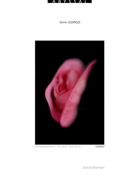 Fotografia intitolato "Gorgo clito" da David Blandin, Opera d'arte originale