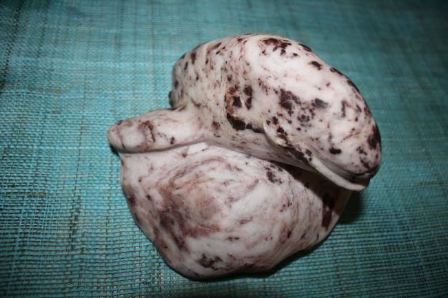 Sculpture intitulée "bélouga" par Denis Thebaudeau, Œuvre d'art originale, Pierre