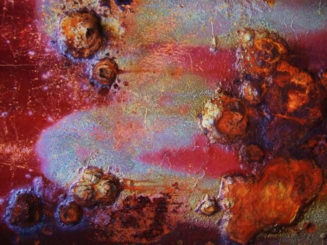 Fotografía titulada "Extract. NZ 2007 DS…" por Marie-Pierre, Obra de arte original