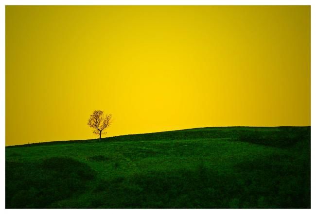 "tuscany II" başlıklı Fotoğraf Danijel Kolega tarafından, Orijinal sanat