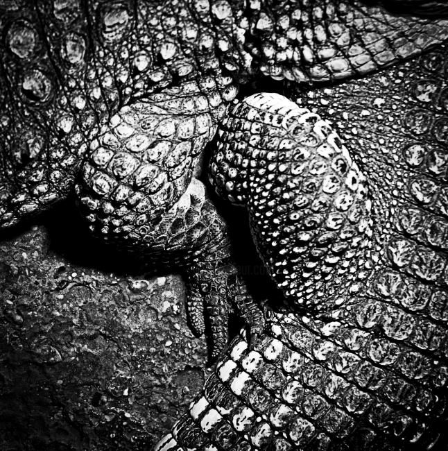 "textures" başlıklı Fotoğraf Danijel Kolega tarafından, Orijinal sanat