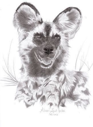 "Wild Dog" başlıklı Resim Malinda Crafford tarafından, Orijinal sanat, Kalem