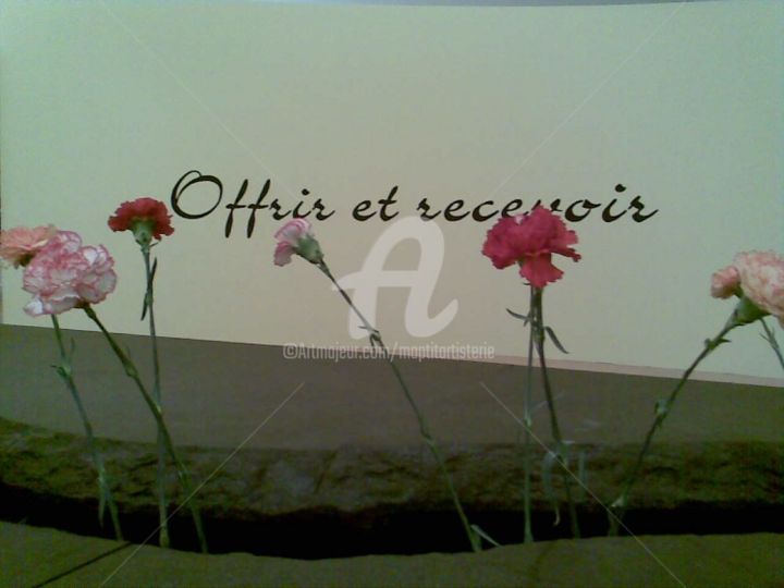 Oeillets à l'oeil 摄影