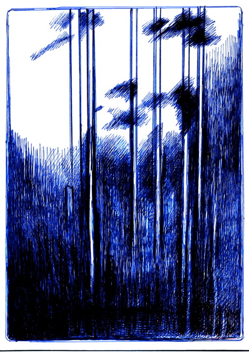 Spruce Forest - High Moor Oberharz 图画, 11.7x8.3 in