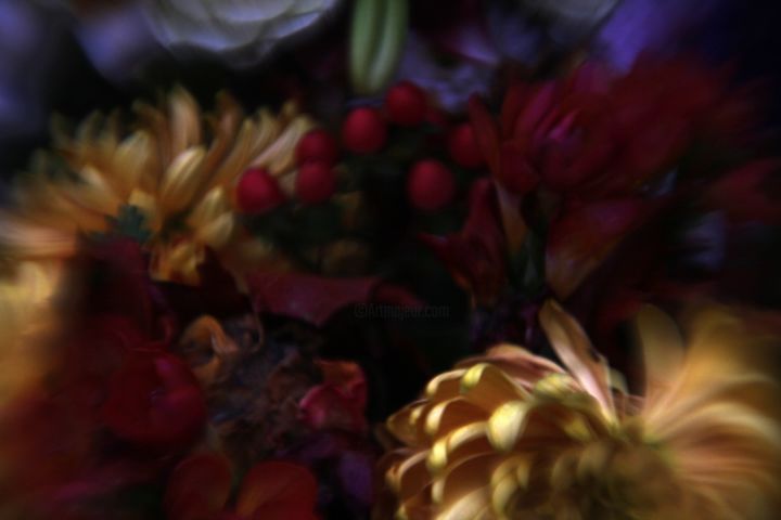 Fotografia intitulada "Brompton" por Stephen Jackson, Obras de arte originais