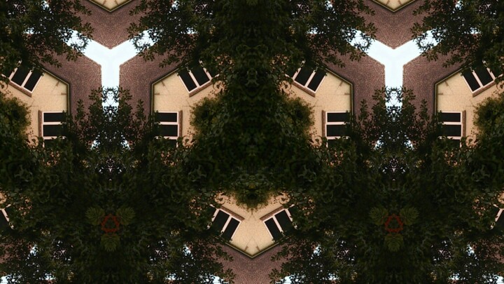 Fotografie getiteld "Urban Trees-0092.jpg" door Xavier Crepin, Origineel Kunstwerk
