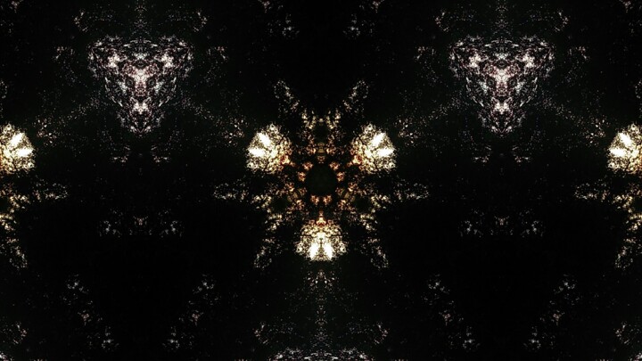 Fotografie getiteld "Death in theTrees-B…" door Xavier Crepin, Origineel Kunstwerk
