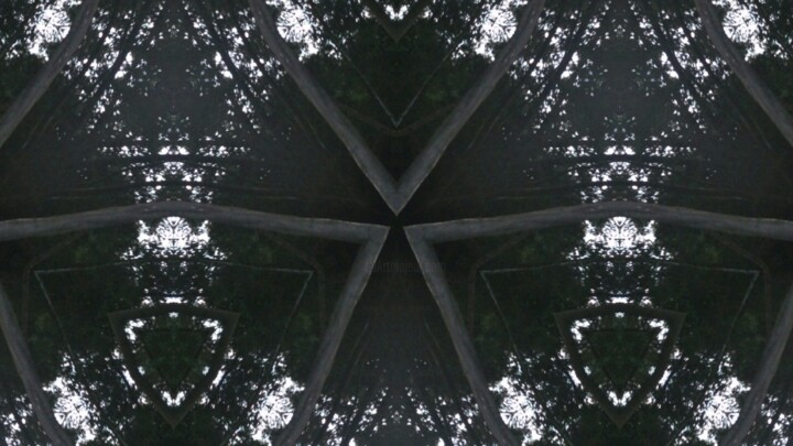 Fotografie getiteld "The Shin-0099.jpg" door Xavier Crepin, Origineel Kunstwerk