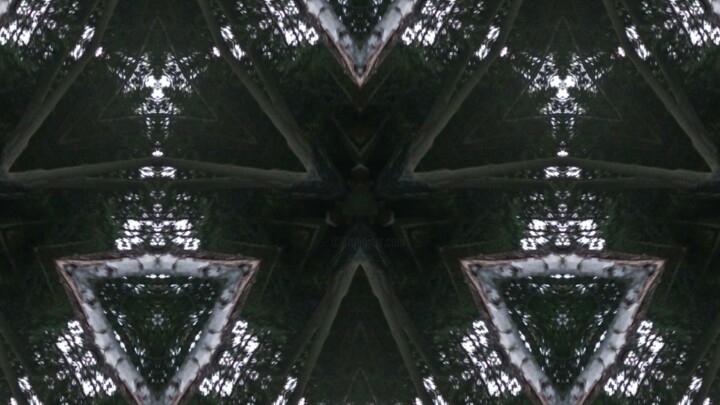 Fotografie getiteld "Urban Tree Fractal-…" door Xavier Crepin, Origineel Kunstwerk