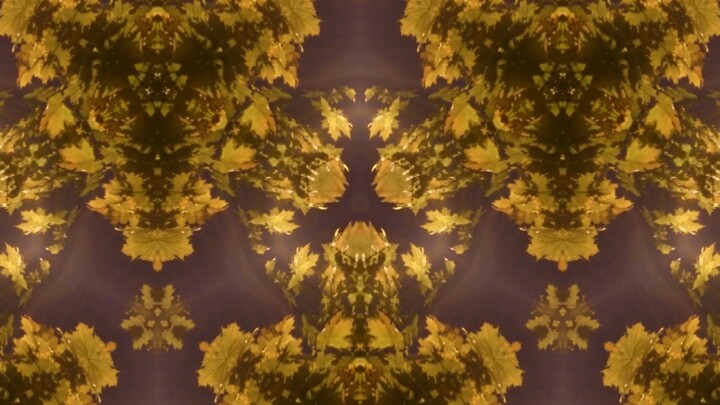 Fotografie getiteld "Beyond the Fog-2013…" door Xavier Crepin, Origineel Kunstwerk