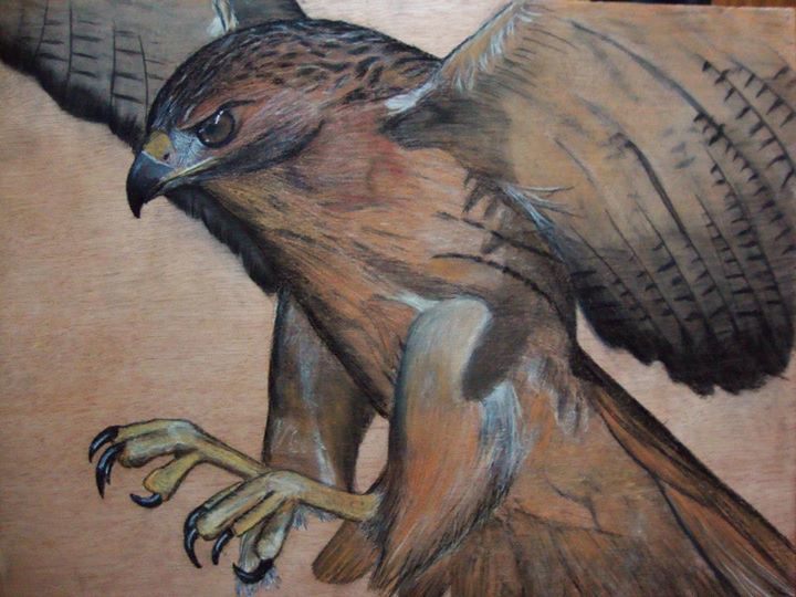 Drawing titled "Kestrel" by Ahmed Hariry, Original Artwork