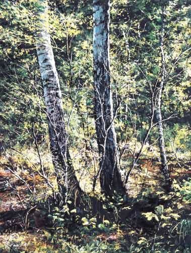 Painting titled "The birches" by Swiatecki Marek, Original Artwork, Oil