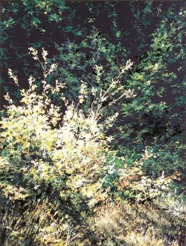Painting titled "Wild bush" by Swiatecki Marek, Original Artwork, Oil