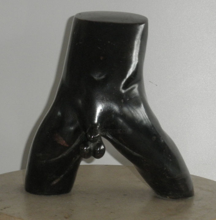 Sculpture titled "mantorso.jpg" by Catalin Geana, Original Artwork, Casting