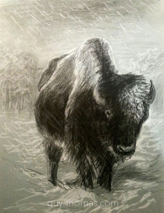 Dessin intitulée "Bison debout" par Thomas Rodet, Œuvre d'art originale, Pastel