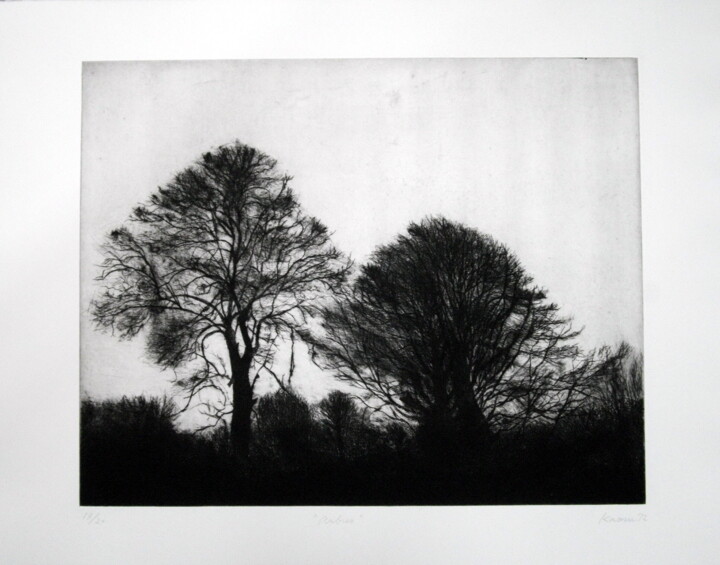 Printmaking titled "arbres" by Kaoru Tsuzawa, Original Artwork, Other