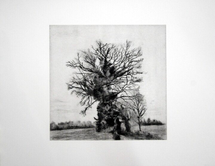Printmaking titled "arbres" by Kaoru Tsuzawa, Original Artwork