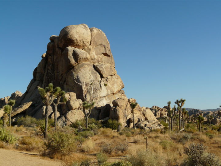 Photography titled "Homer Simpson Rock" by Paul Santander, Original Artwork