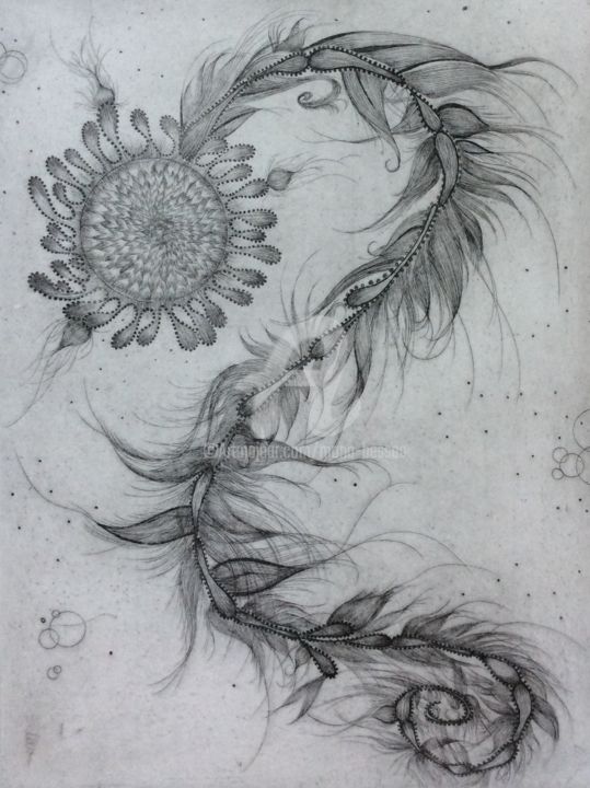 Spécimen plume Printmaking, 15.8x11.8 in