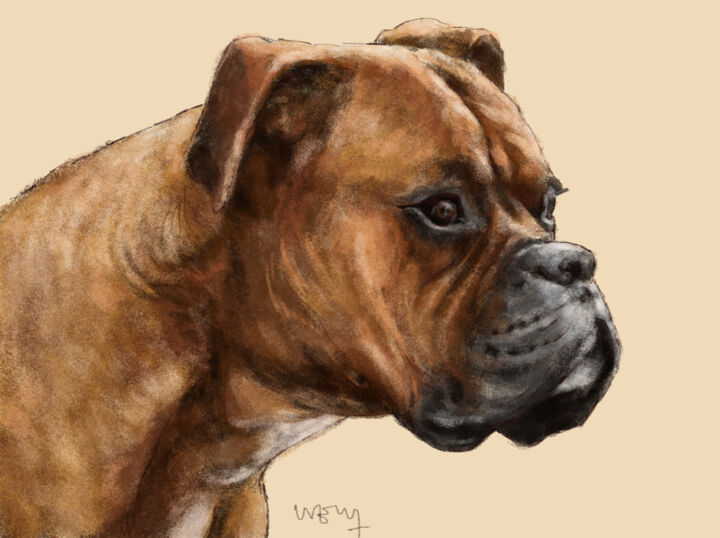 Digitale Kunst getiteld "Portrait d'un boxer" door Sandrine Wely, Origineel Kunstwerk