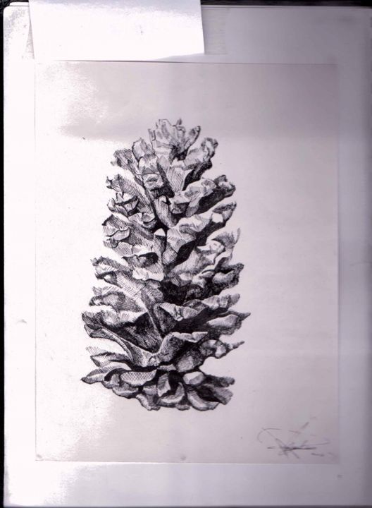 Drawing titled "scan-2.jpg" by Akash Amalean, Original Artwork