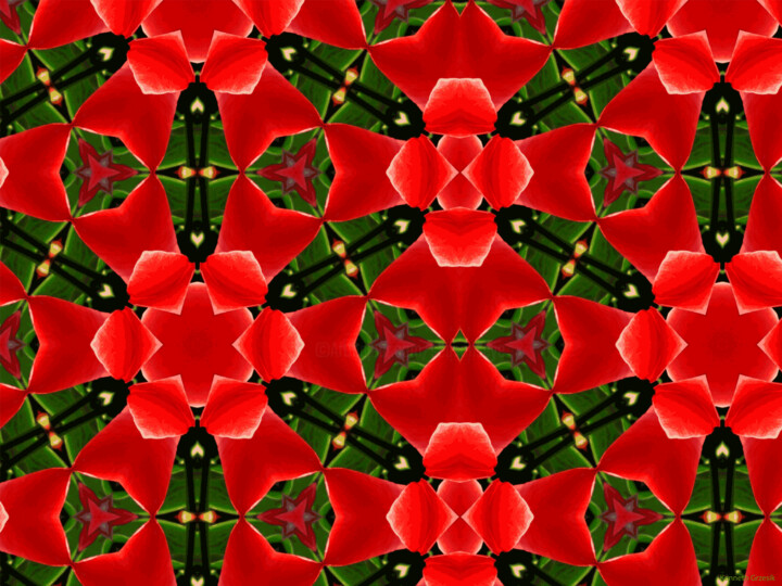Digital Arts titled "Kaleidoscope Geomet…" by Ken Grzesik, Original Artwork, 2D Digital Work