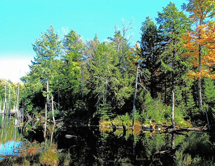 "pre-2007-01-11-1494…" başlıklı Fotoğraf Kevin Beer tarafından, Orijinal sanat