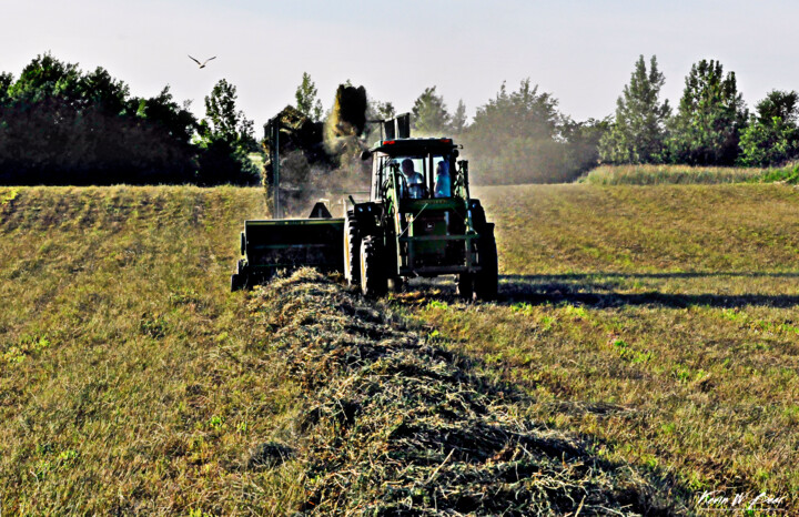 "flying-for-lunche1.…" başlıklı Fotoğraf Kevin Beer tarafından, Orijinal sanat