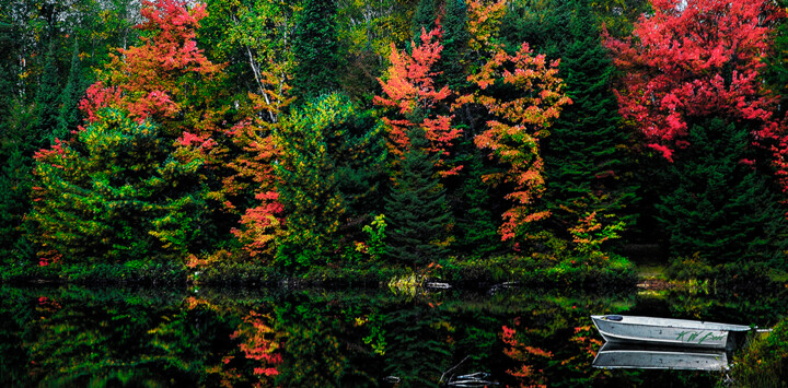 "banner-1252x620-tra…" başlıklı Fotoğraf Kevin Beer tarafından, Orijinal sanat