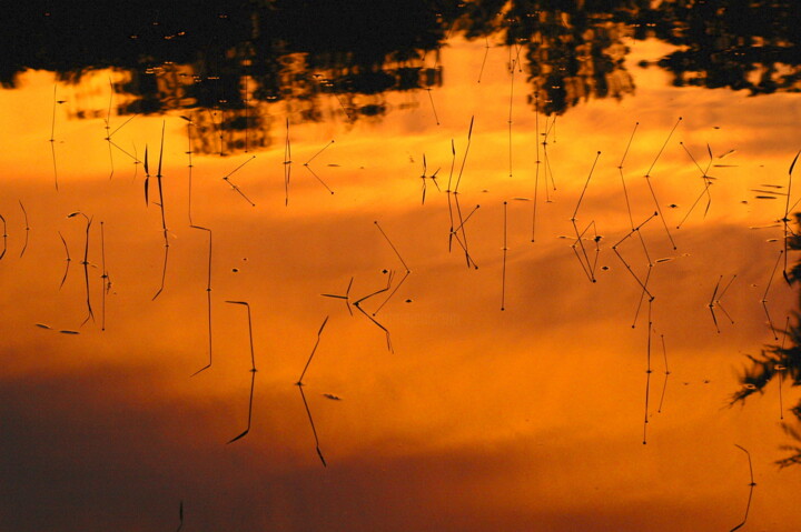 "pre-2007-01-11-1476…" başlıklı Fotoğraf Kevin Beer tarafından, Orijinal sanat