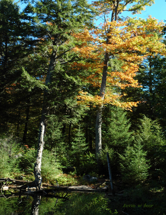 "pre-2007-01-11-1490…" başlıklı Fotoğraf Kevin Beer tarafından, Orijinal sanat