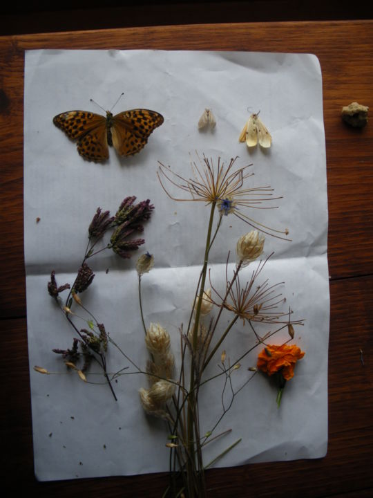 Photography titled "Lettre des Cévennes" by Rahsan, Original Artwork