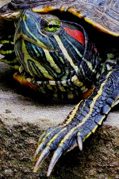 「Tortuga」というタイトルのデジタルアーツ Jim Pavelleによって, オリジナルのアートワーク