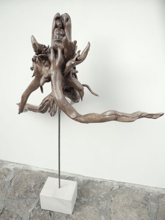 Sculpture titled "EXPANSION" by Gérard Didier, Original Artwork, Wood