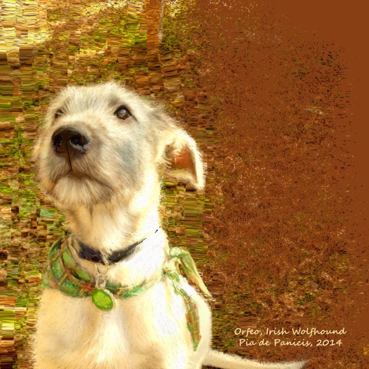 Orfeo, Irish Wolfhound 数字艺术