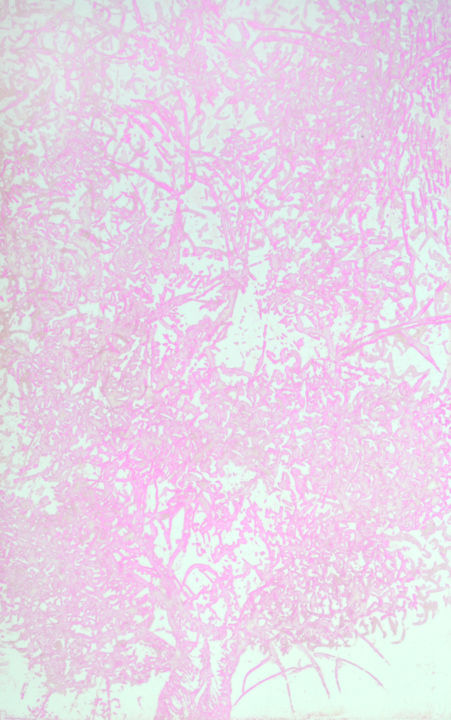 arbre rose Printmaking, 12.6x9.5 in