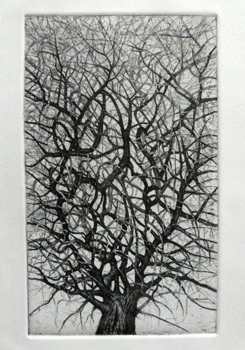 arbre 3 Printmaking, 12.6x9.5 in
