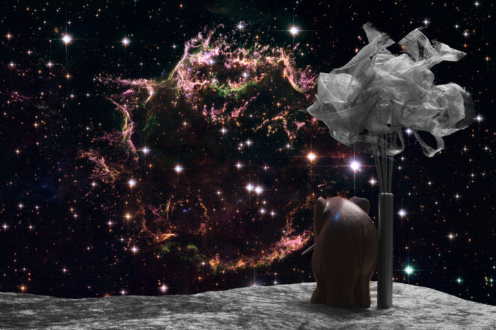 Fotografía titulada "black elephant by n…" por Ricopic, Obra de arte original