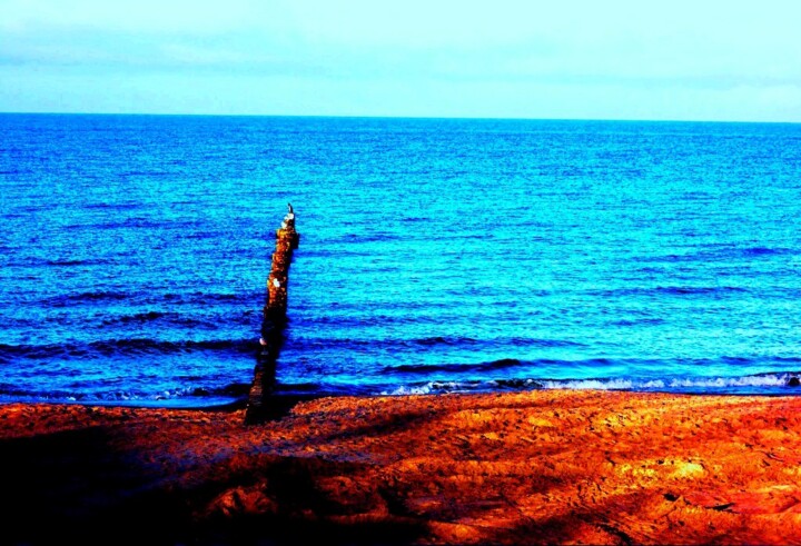 ostsee weitblick