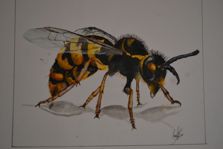 Drawing titled "dsc-0142.jpg" by Ramona Bocci, Original Artwork