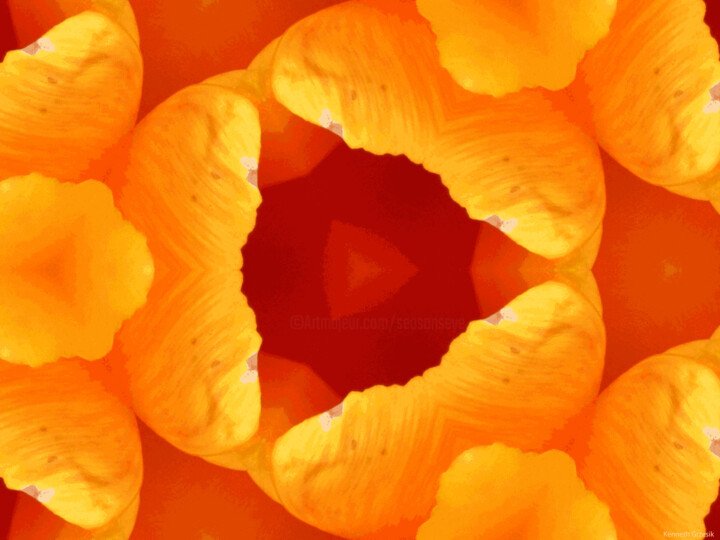 Digital Arts titled "Kaleidoscope Geomet…" by Ken Grzesik, Original Artwork, Digital Painting
