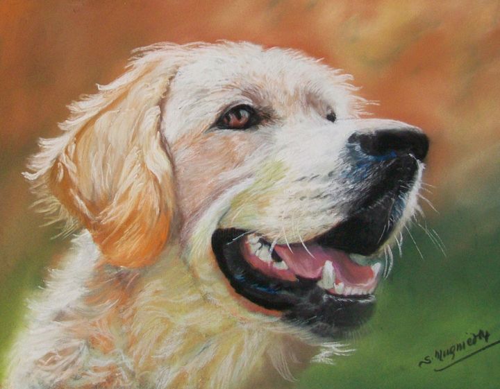 Peinture intitulée "273-douceur-de-jork…" par Simone Mugnier, Œuvre d'art originale, Pastel