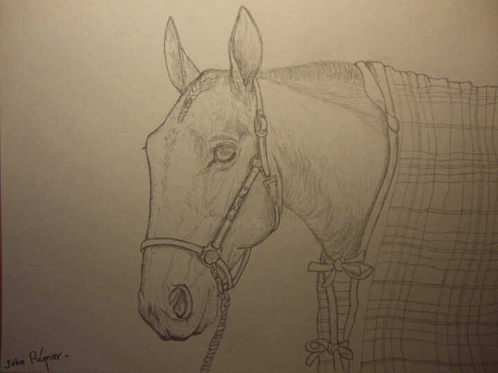 Timoko, vainqueur du grand prix de France 2015 图画, 9.1x12.6 in